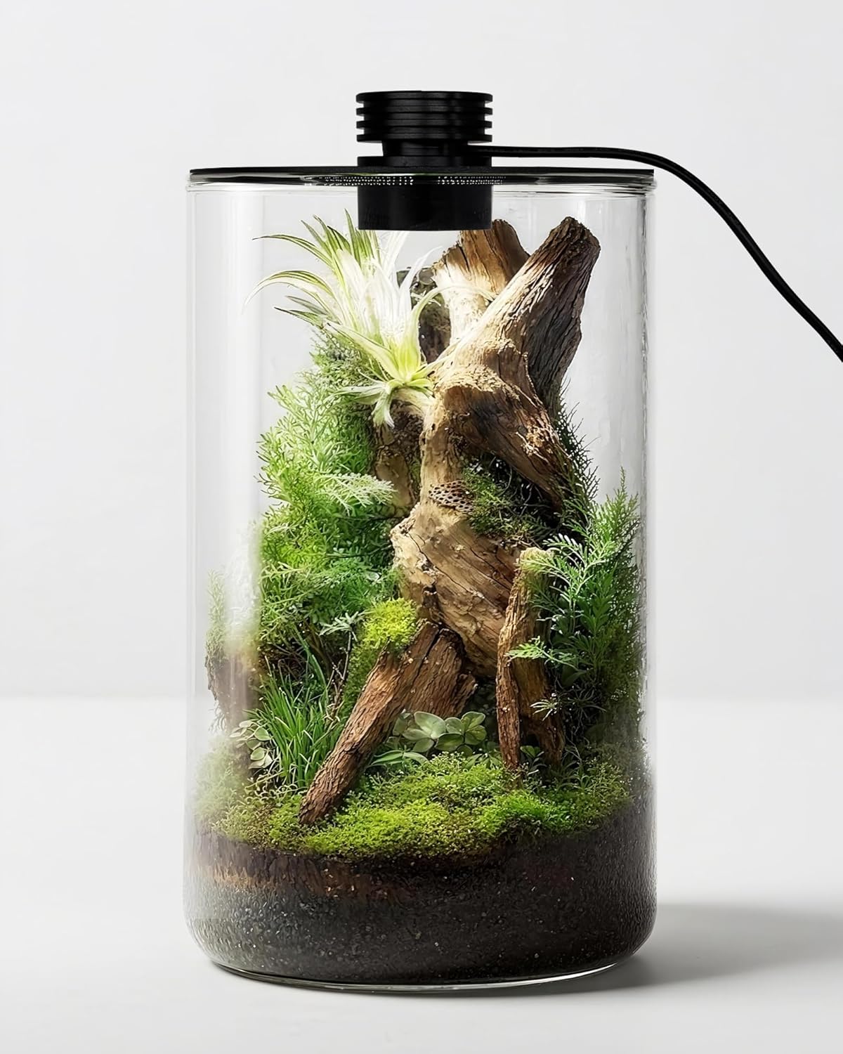 Szklane terrarium wewnętrzne z – Office Lighting Decor recenzja i cena